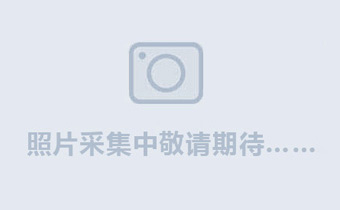 锦州市太和区春来石英光源制品厂-简述石英玻璃的性能